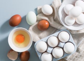 Egg Replacements Egg replacements eggs on blue surface in white egg holder