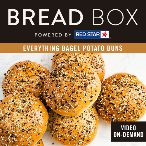 Bread Box by Red Star - Everything Bagel Potato Buns