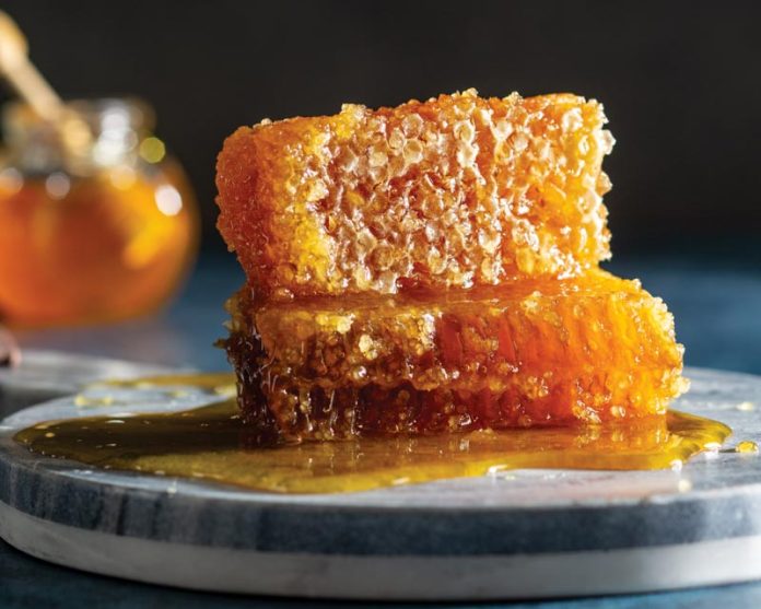 honey comb on plate running