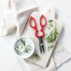 Zwilling Multi-Purpose Kitchen Shears