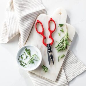 Zwilling Multi-Purpose Kitchen Shears