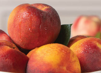 Summer Peach Perfection: 7 Recipes to Savor Summer’s Flavor
