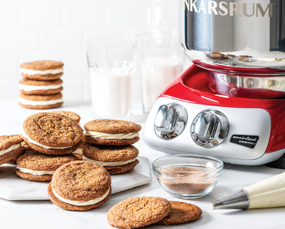 ankarsrum stand mixer