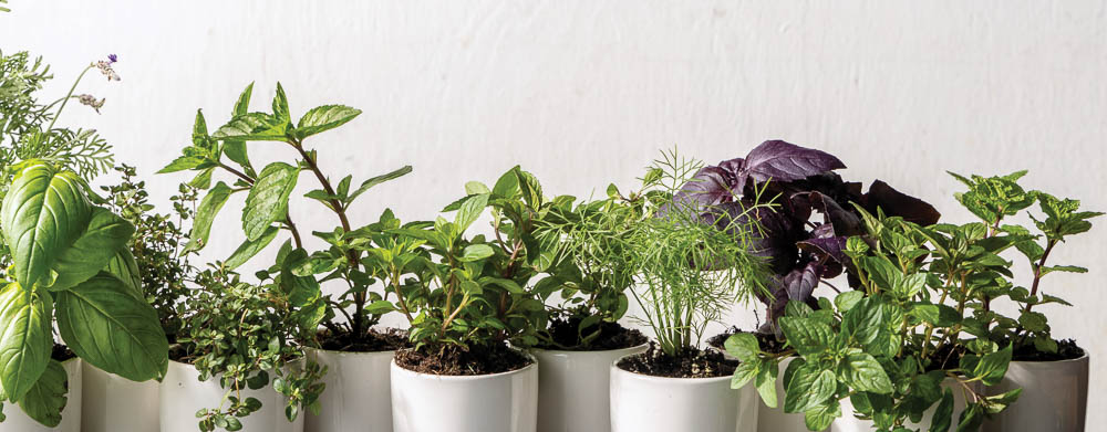 Baking with Summer Herbs