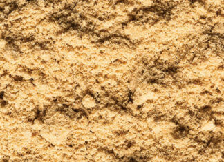 From the Pantry: Brown Sugar From the Pantry: Brown Sugar
