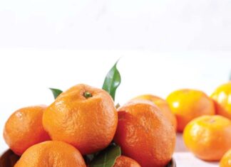 Where the Satsumas Grow Where the Satsumas Grow