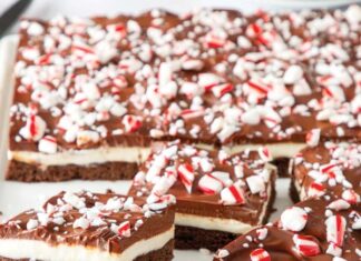 Winter’s Sweetest Duo: Chocolate and Peppermint Bakes Chocolate Peppermint Dream Bars