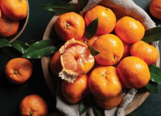 Baking with Satsumas: A Trio of Sweet Citrus Creations Bright & Zesty: Celebrate Satsuma Season with These 3 Bakes