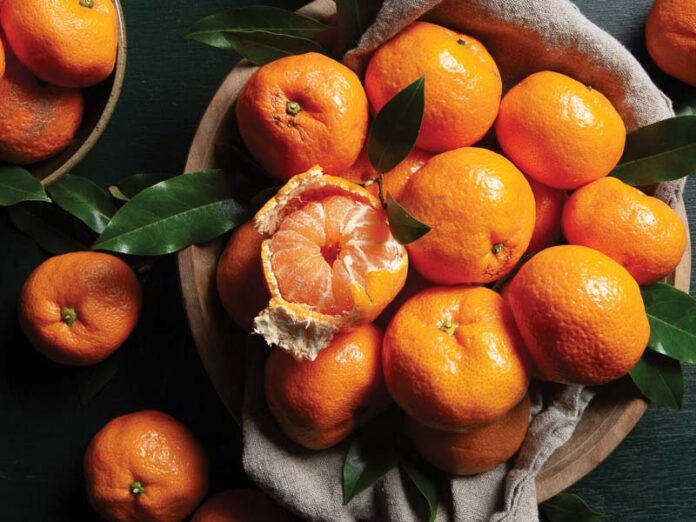 Bright & Zesty: Celebrate Satsuma Season with These 3 Bakes