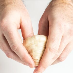 shaping the dough