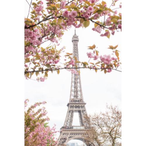 Paris Every Day photo