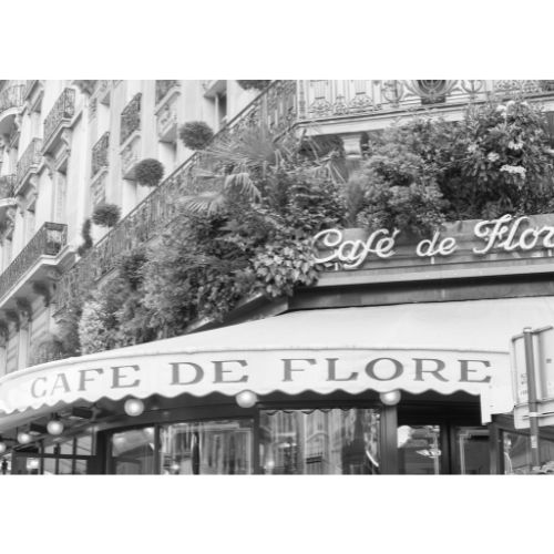 Paris Every Day photo