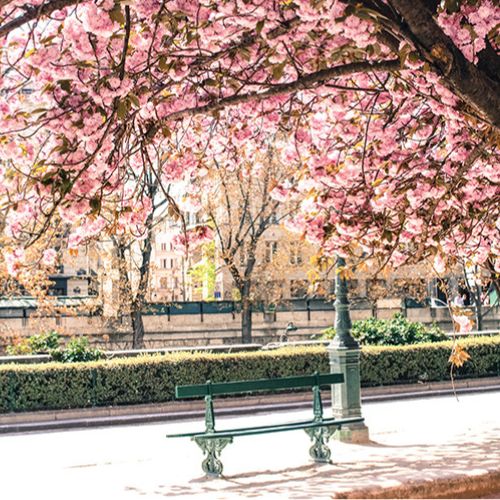Paris Every Day interior spread