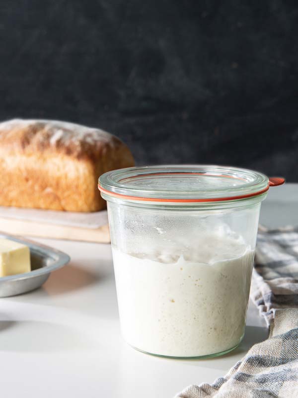 Sourdough Starter