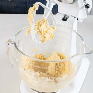Sucree3558SWSSquares - Bake from Scratch Sucree dough in mixer