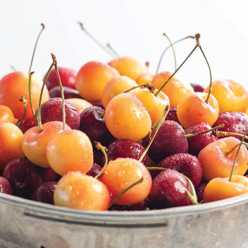 Fresh Cherries