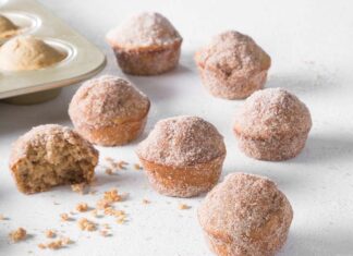 Cinnamon-Sugar Doughnut Bites Cinnamon-Sugar Doughnut Bites