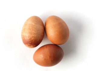 Rose Levy Beranbaum’s Egg Essentials Egg Replacements