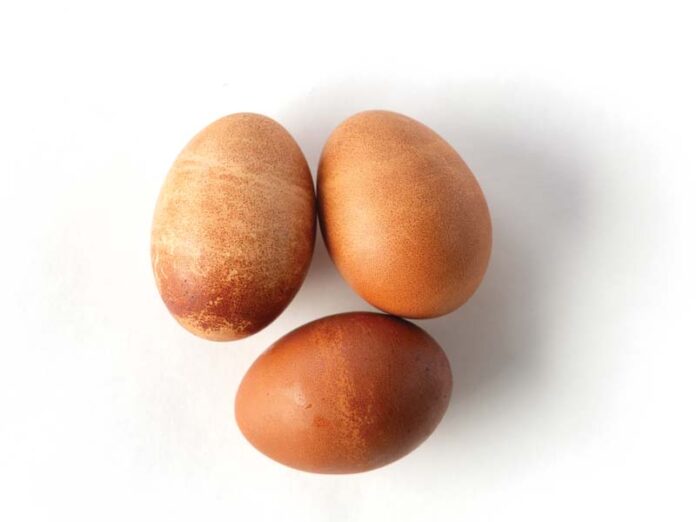 Egg Replacements
