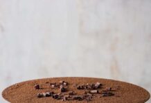 Baking School In-Depth: Chocolate Mousse Chocolate Mousse