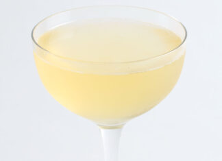 Stephen’s Ginger Martini Stephen's Ginger Martini