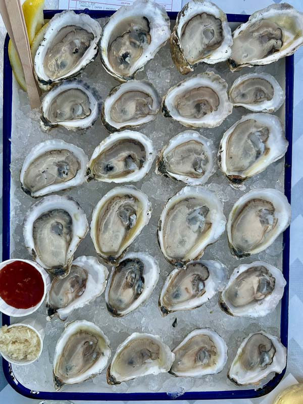 Oysters