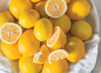 15 Lemon Bakes to Brighten Winter 15 Lemon Bakes to Brighten Winter