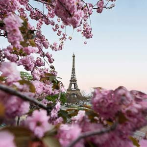 daniel-dalea-vVdhZ0eOBms-unsplashSquares Paris and Normandie Baking Retreat