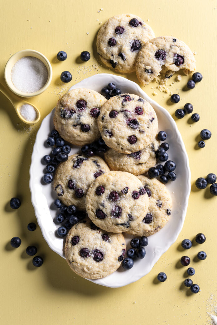 Blueberry Cookies