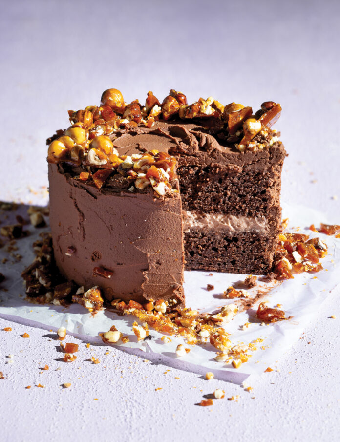 Chocolate Hazelnut Praline Cake