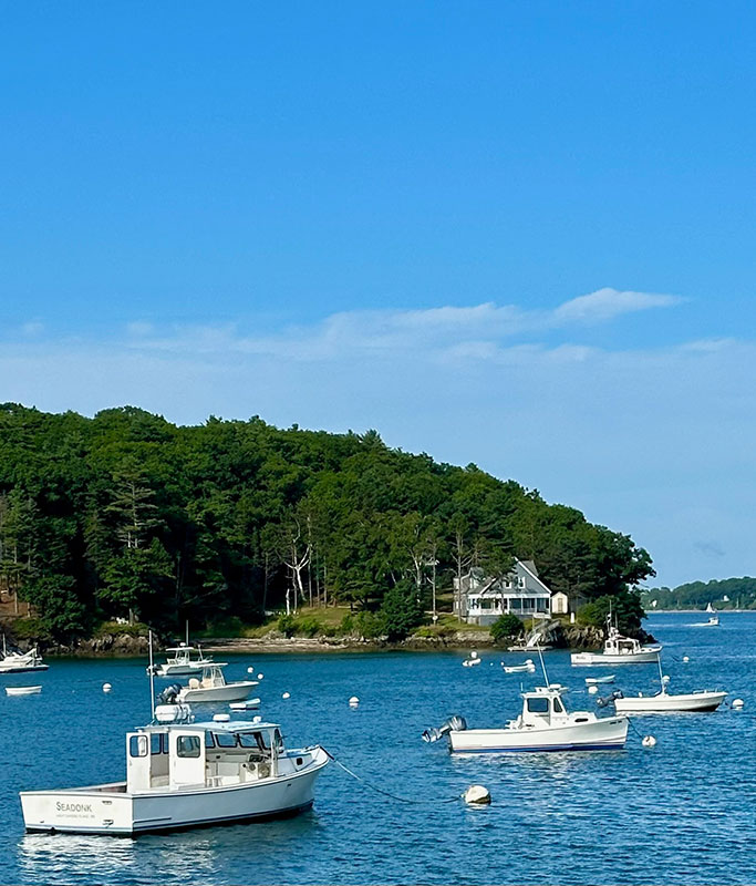 Small white boats anchored in a blue bay with a tree-covered island and a house along the shore in the distance.